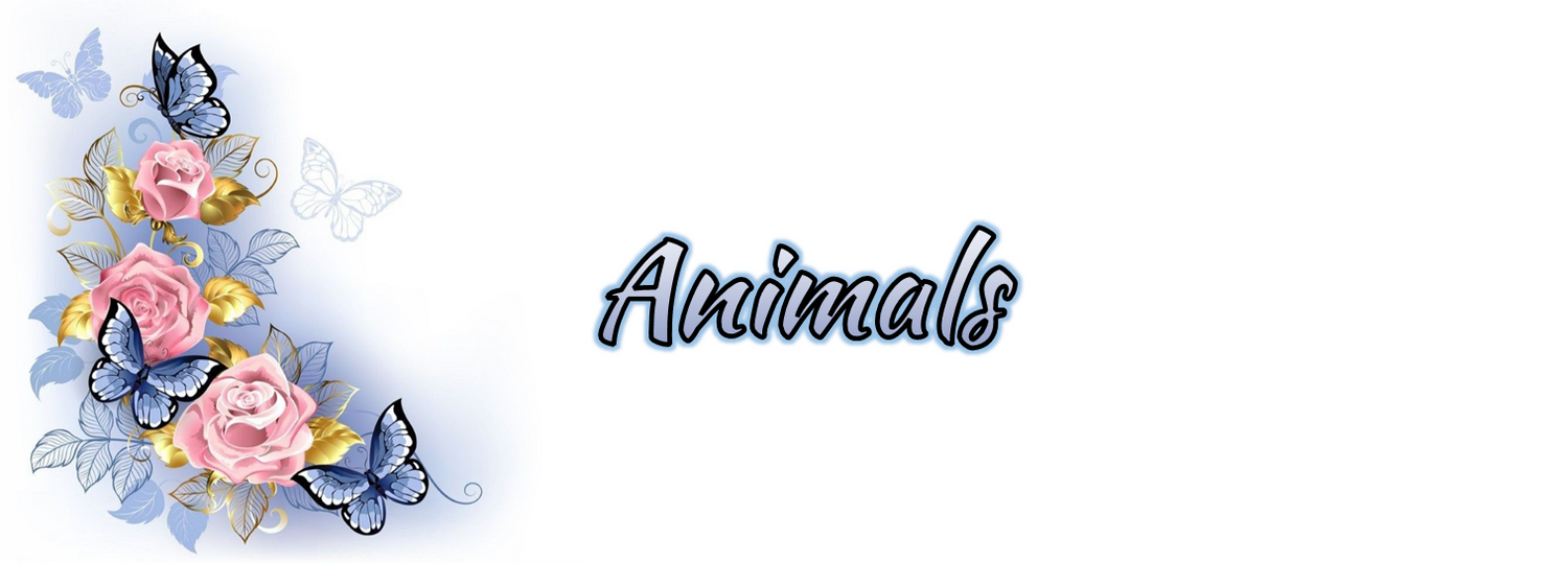 Animals