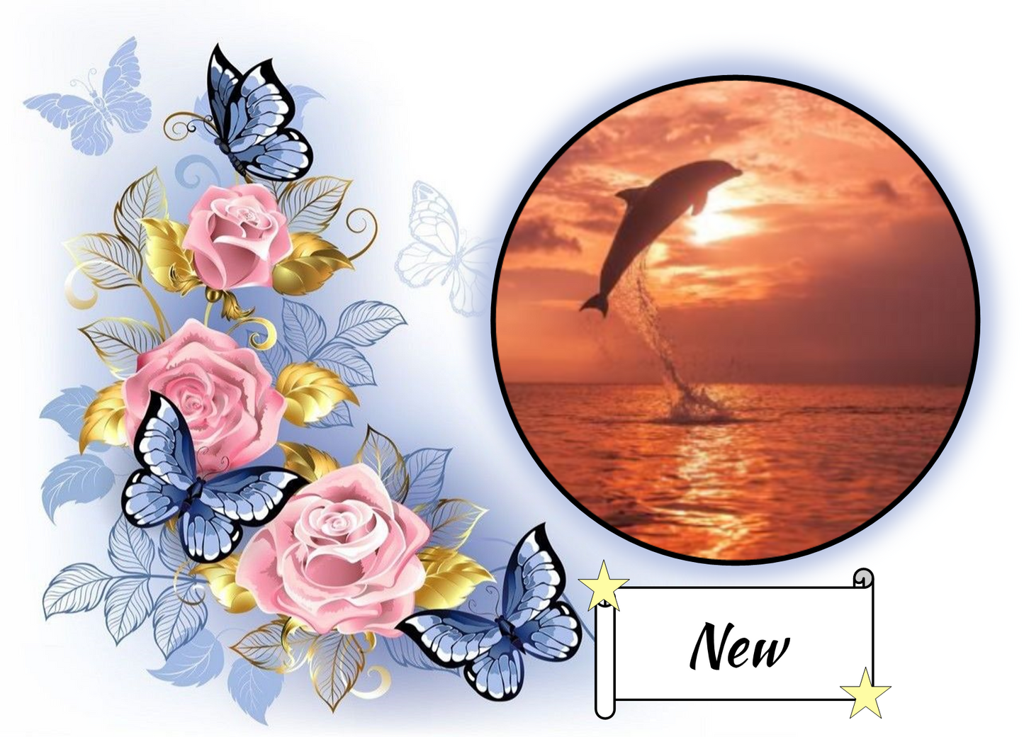 Dolphin and Sunset 244