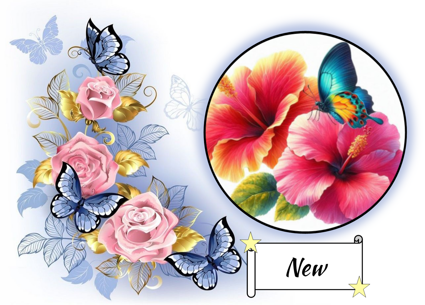 Hibiscus Flowers and Butterfly 479