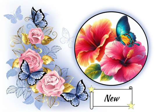 Hibiscus Flowers and Butterfly 479